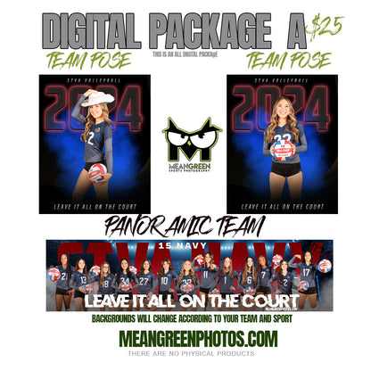 Package A - 2 Individuals 1 background/ 1 Team Photo (All Digital)