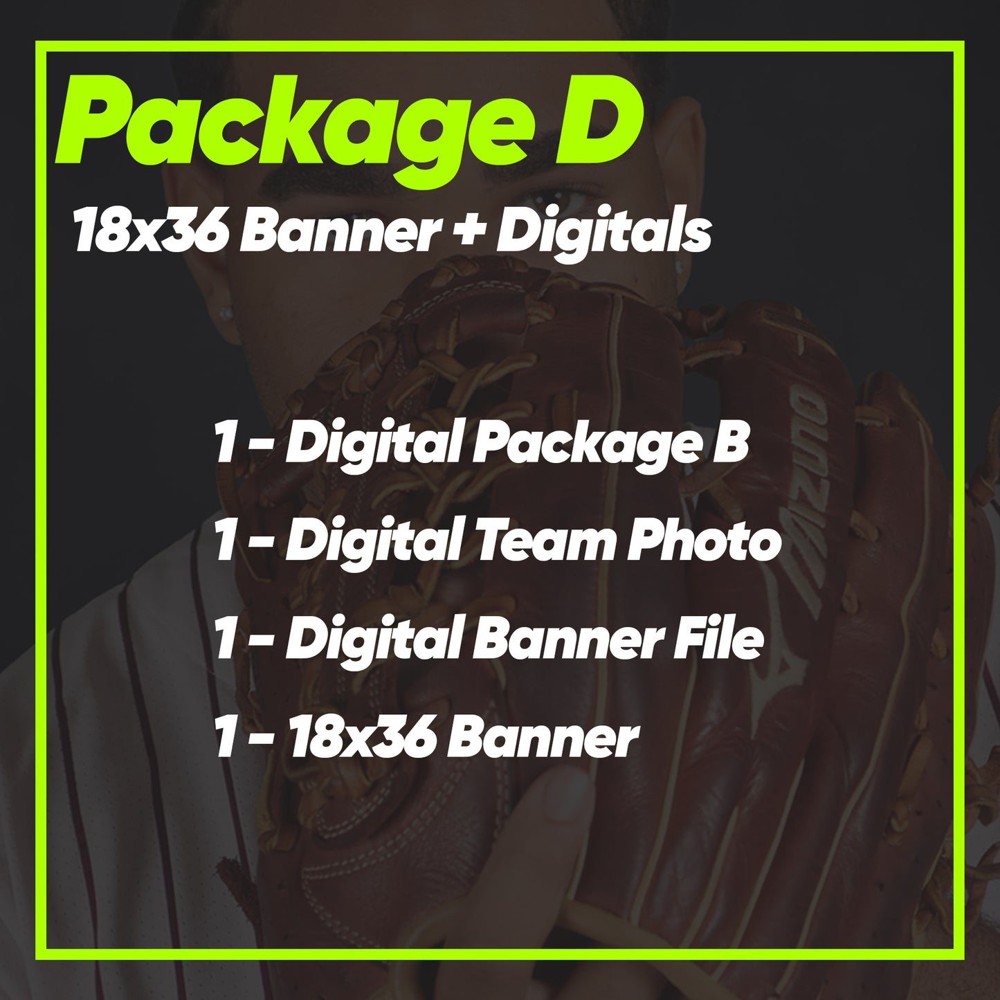 Package D - 18x36 Banner + Digitals